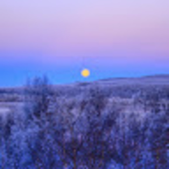 Meet your Posher, James - Picture 1 of 1